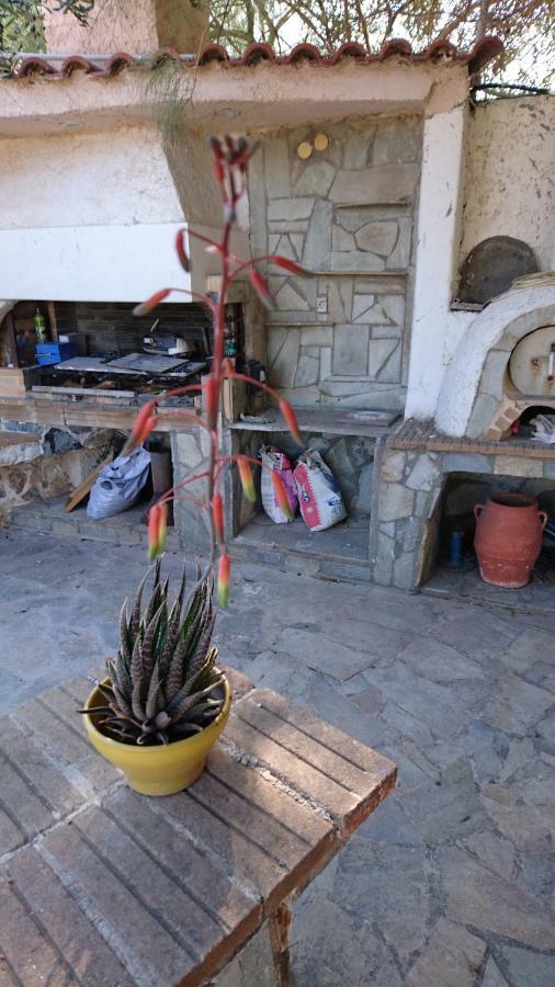 Το Πετρινο Villa Agia Marina Mikrolimanou Eksteriør bilde